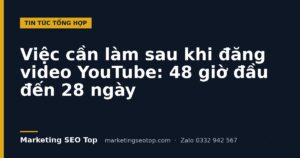 Việc cần làm sau khi đăng video YouTube: 48 giờ đầu đến 28 ngày